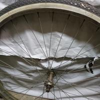 Ruota anteriore completa