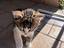 Immagine 3