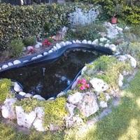 Laghetto artificiale - giardino d'acqua