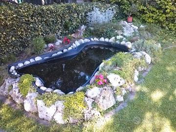 Laghetto artificiale - giardino d'acqua