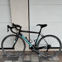 Bianchi freccia celeste