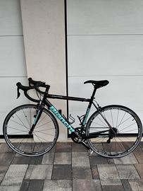 Bianchi freccia celeste