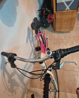 Bici bambina 24
