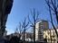 Immagine 15