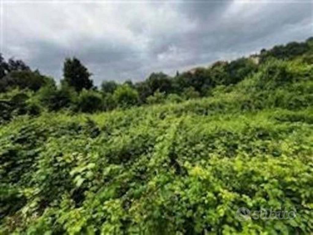 Immobile in asta di 7320 m² a Brivio - Vista 3