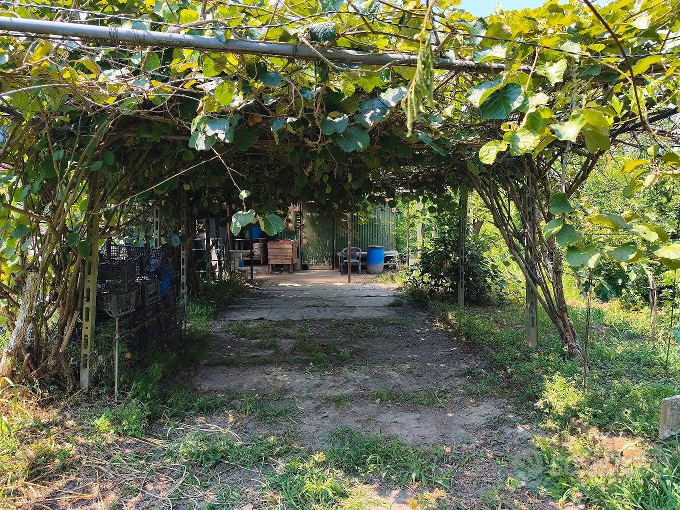 Terreno di 1100 mq - Altro