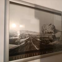 Quadro stampa b/n 140x105 cm Elliot Erwitt