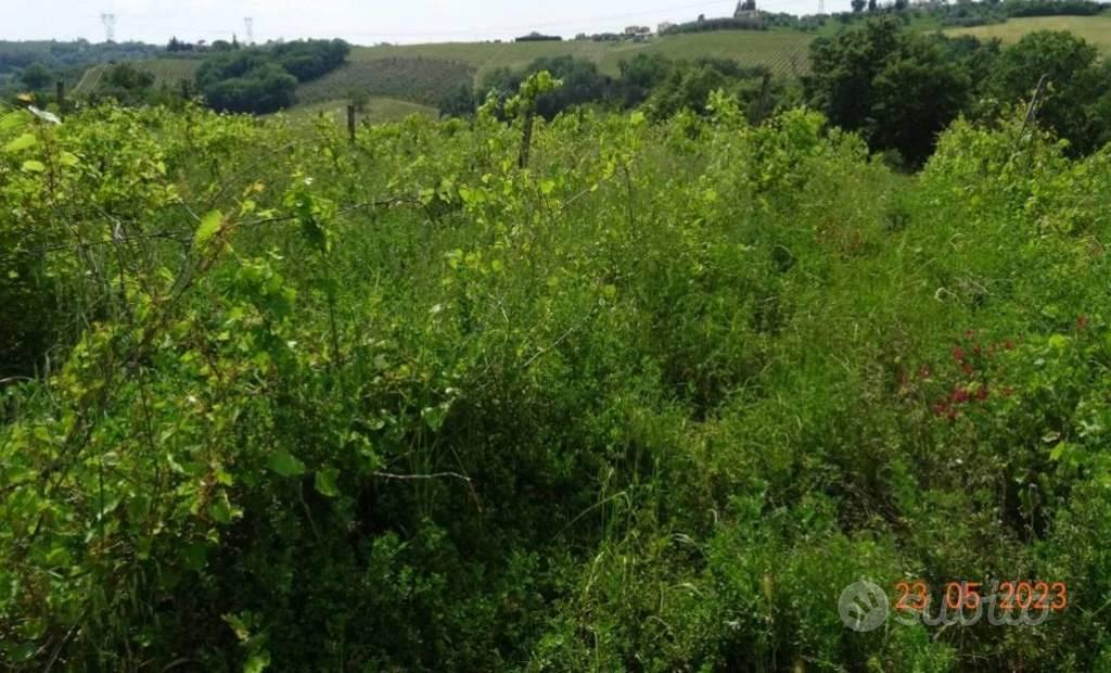 Immobile in asta di 21514 m² a Montespertoli - Vista 2