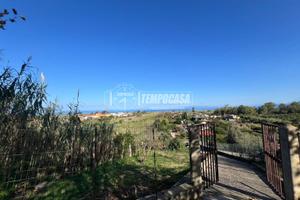 Terreno agricolo con deposito attrezzi