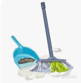 PULITORE preciso automunito (mi sposto facilmente)