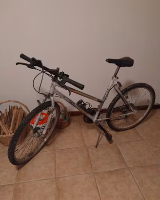 Mountain bike 