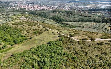 Tribunale di Salerno - RG 33/2024 Terreni in asta