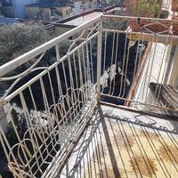 MONOLOCALE A NOCERA INFERIORE