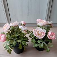 Due piante ranuncoli Ikea 