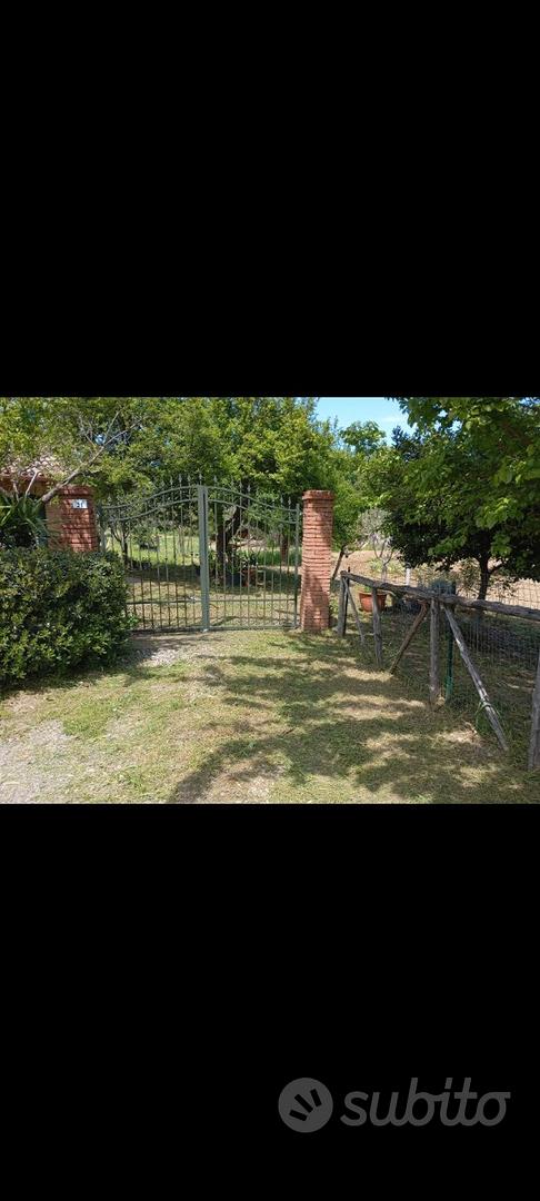 Terreno agricolo con casolare a Rende Isolette - Vista 5