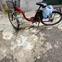 bicicletta elettrica 