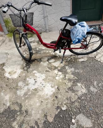 bicicletta elettrica 