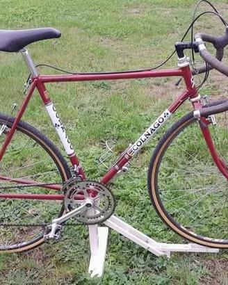 Colnago ciclo cross