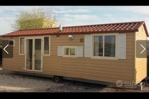 Casa Mobile Shelbox modello Giotto