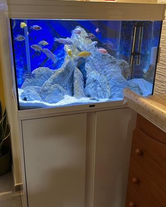 Acquario acquatlantis