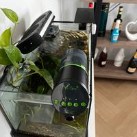 Acquario completo con pesci e mobilePronto all'uso