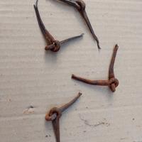 antiche cerniere in ferro battuto 