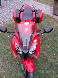 Honda vfr 800