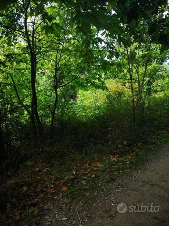 Immobile in asta di 54494 m² a Barberino di Mugell - Vista 2