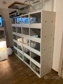 22 teche terrari per rettili in blocco