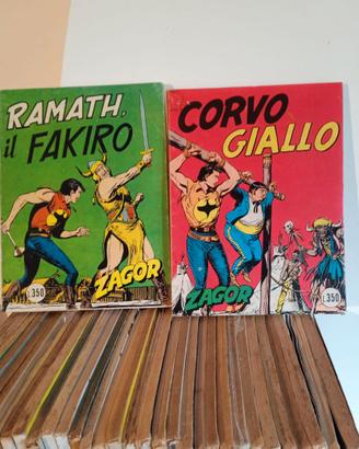 Lotto Zagor