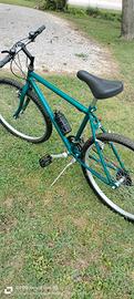 MTB bicicletta 