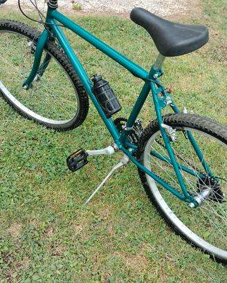 MTB bicicletta 