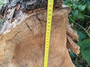 tronchi di legno