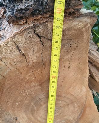 tronchi di legno