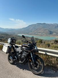 Voge Valico 500 DSX 2022