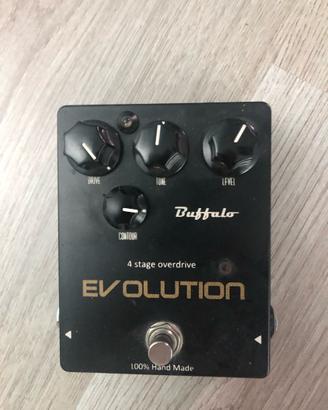 BUFFALO EVOLUTION