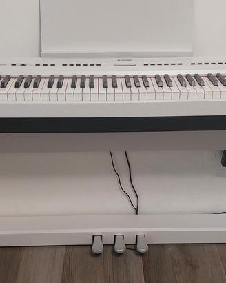 Donner Professionale Pianoforte Digitale 88 Tasti 