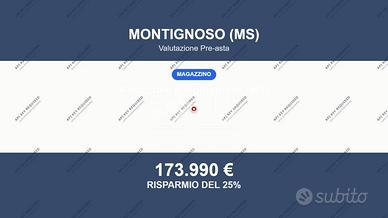 Immobile in asta di 1057 m² a Montignoso