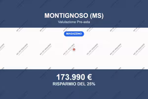 Immobile in asta di 1057 m² a Montignoso