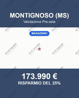 Immobile in asta di 1057 m² a Montignoso