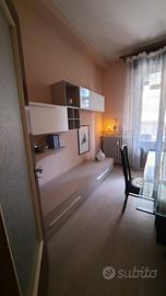 Appartamento in centro Mantova