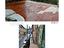 Immagine 10