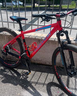 Mountain bike torpado mercury 29 t710