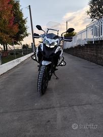 Benelli TRK 502 - 2023