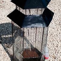 voliera per uccelli vari tipi anche per pulcini