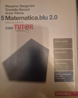 Matematica blu 5