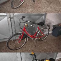Mtb bici