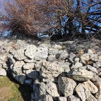 Sassi tipo "Spungone Romagnolo",pronti all'usoper