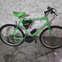 Mountain bike Trubbiani