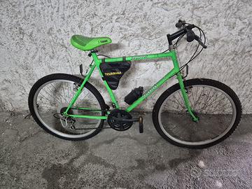 Mountain bike Trubbiani